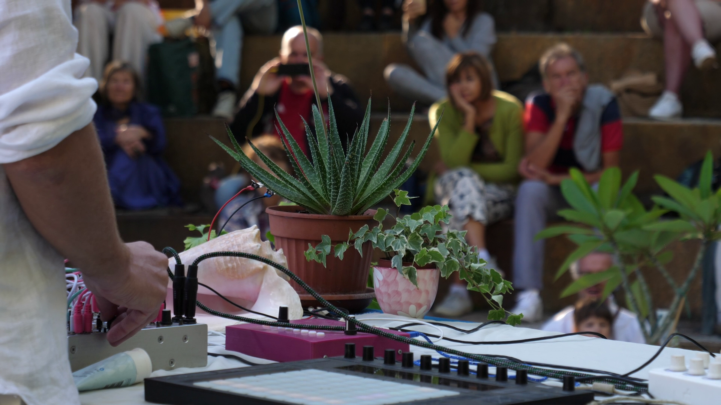 Masterplants Orchestra @ Haus of Owl | June 28, 2025 | 7PM